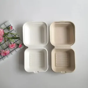 Biodegradable Burger Boxes