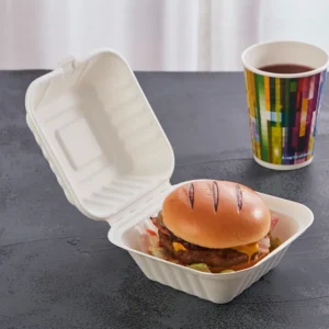 Disposable Burger Boxes