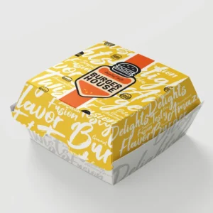 Takeaway Burger Boxes